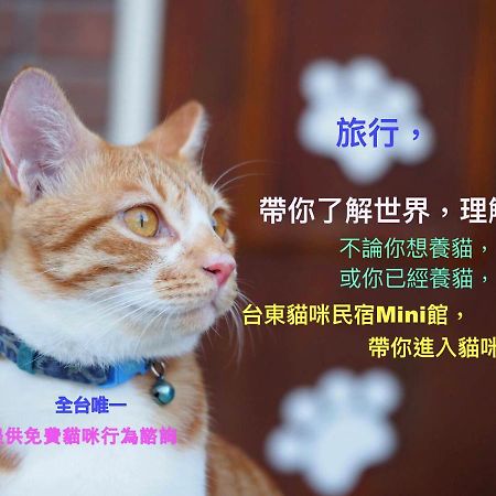 貓咪民宿mini館-中午即可入房 T'ai-tung Buitenkant foto
