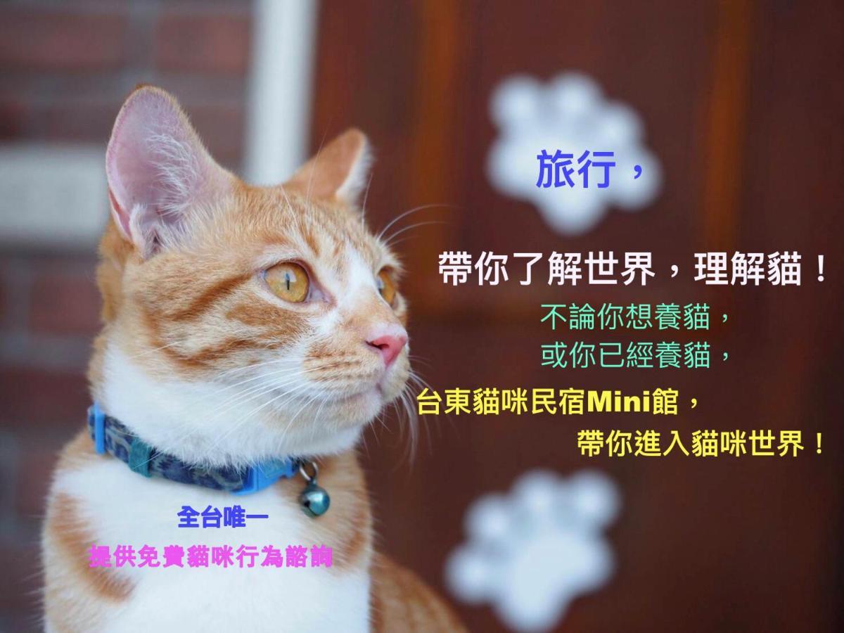 貓咪民宿mini館-中午即可入房 T'ai-tung Buitenkant foto