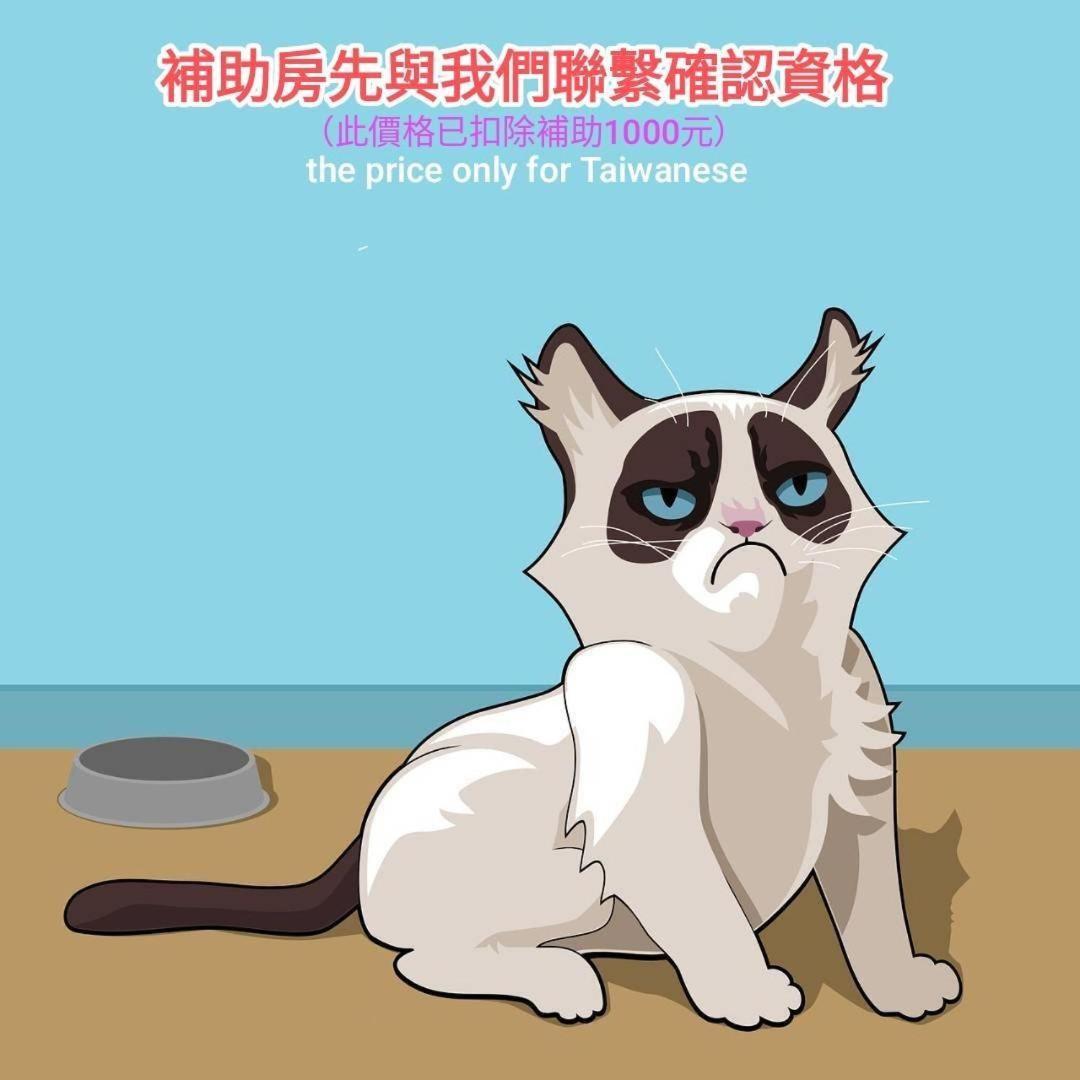 貓咪民宿mini館-中午即可入房 T'ai-tung Buitenkant foto