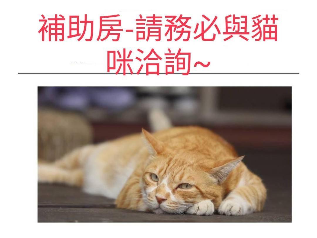 貓咪民宿mini館-中午即可入房 T'ai-tung Buitenkant foto